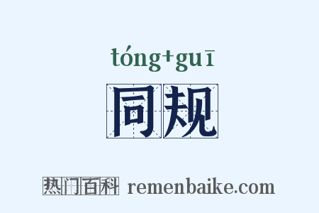 同规是什么意思的图片